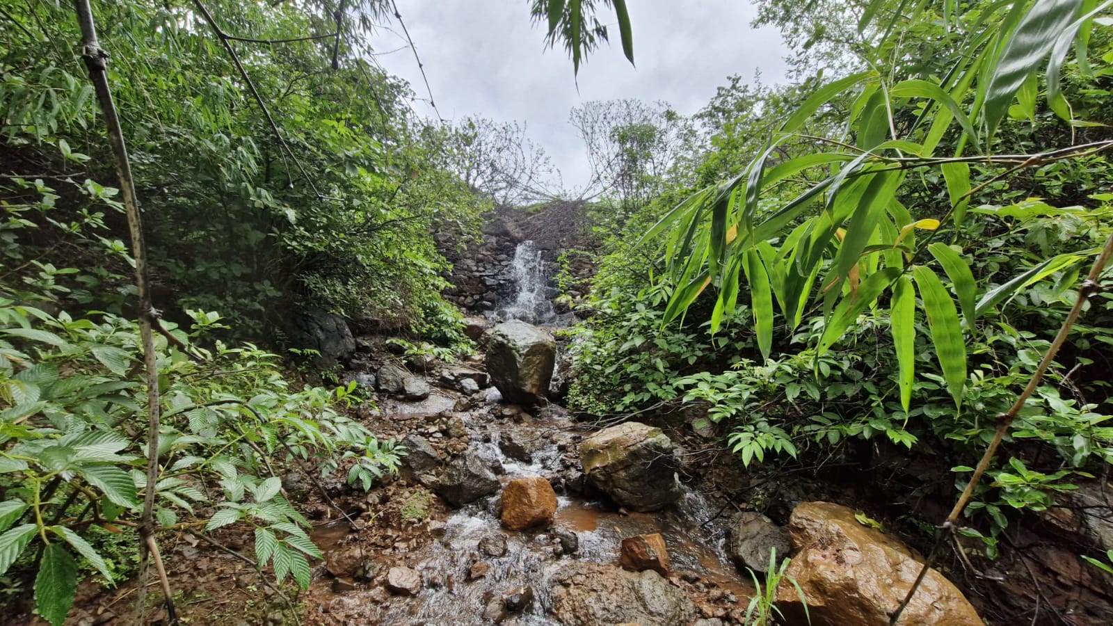 Nestland Bhor natural waterfall cascading over rocks with vibrant greenery