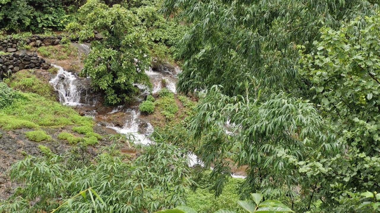 Nestland Bhor seasonal waterfall in pristine natural setting