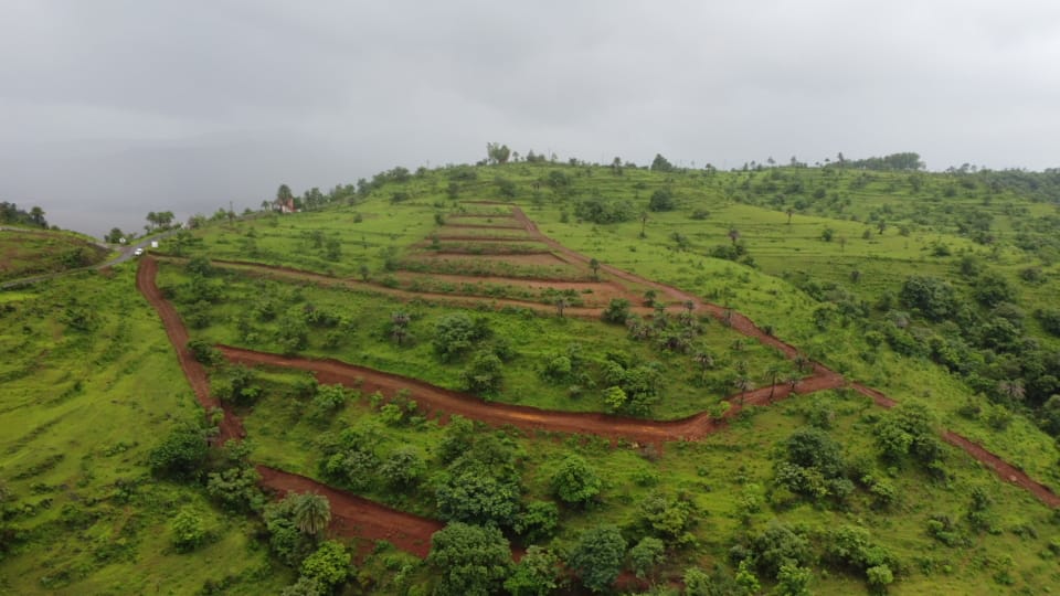 Nestland Velhe farmland plot with natural landscape and clear skies
