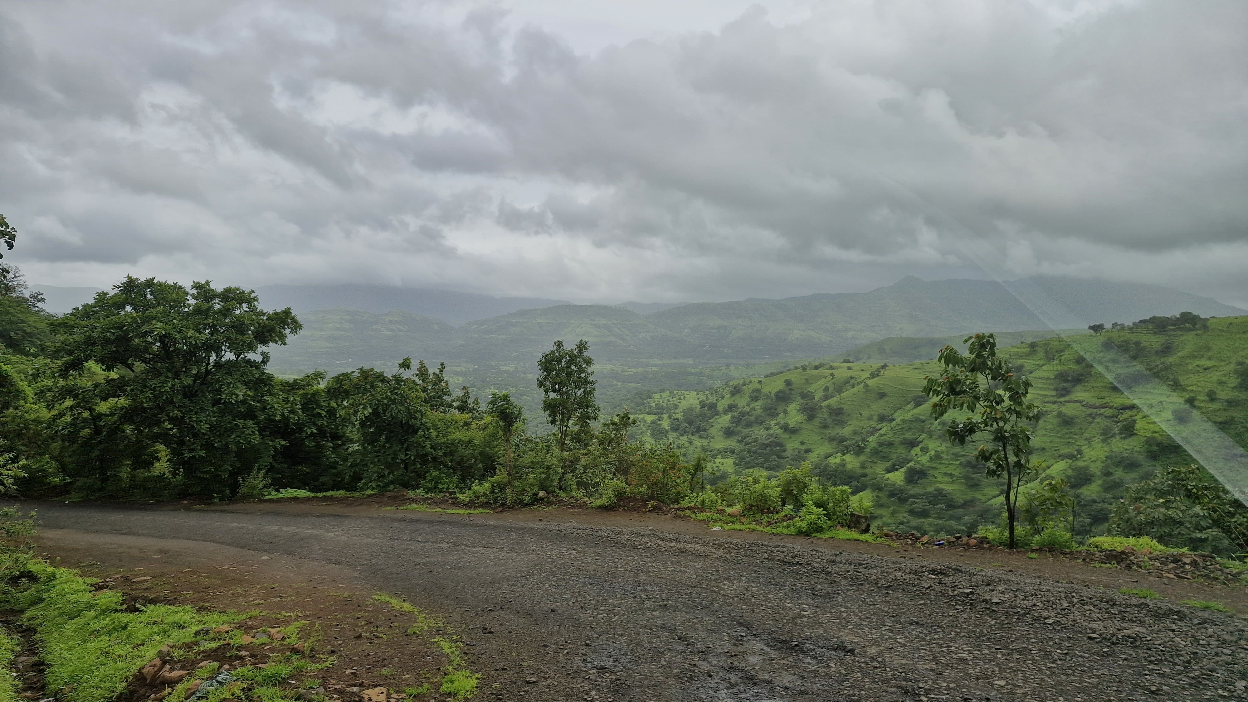 Scenic View